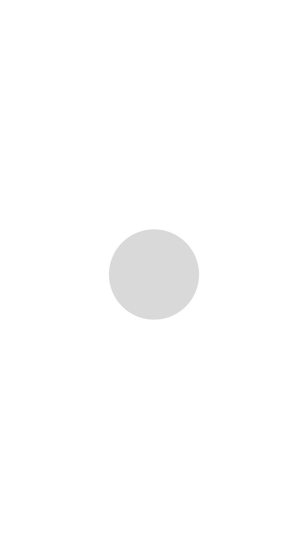 Nepaxal C0 Silbergrau